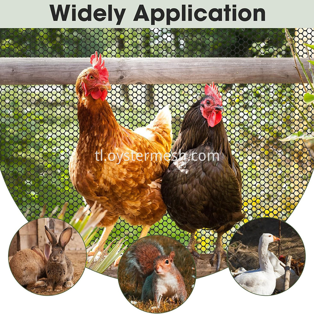 Poultry Netting Chicken Wire Mesh Fence
